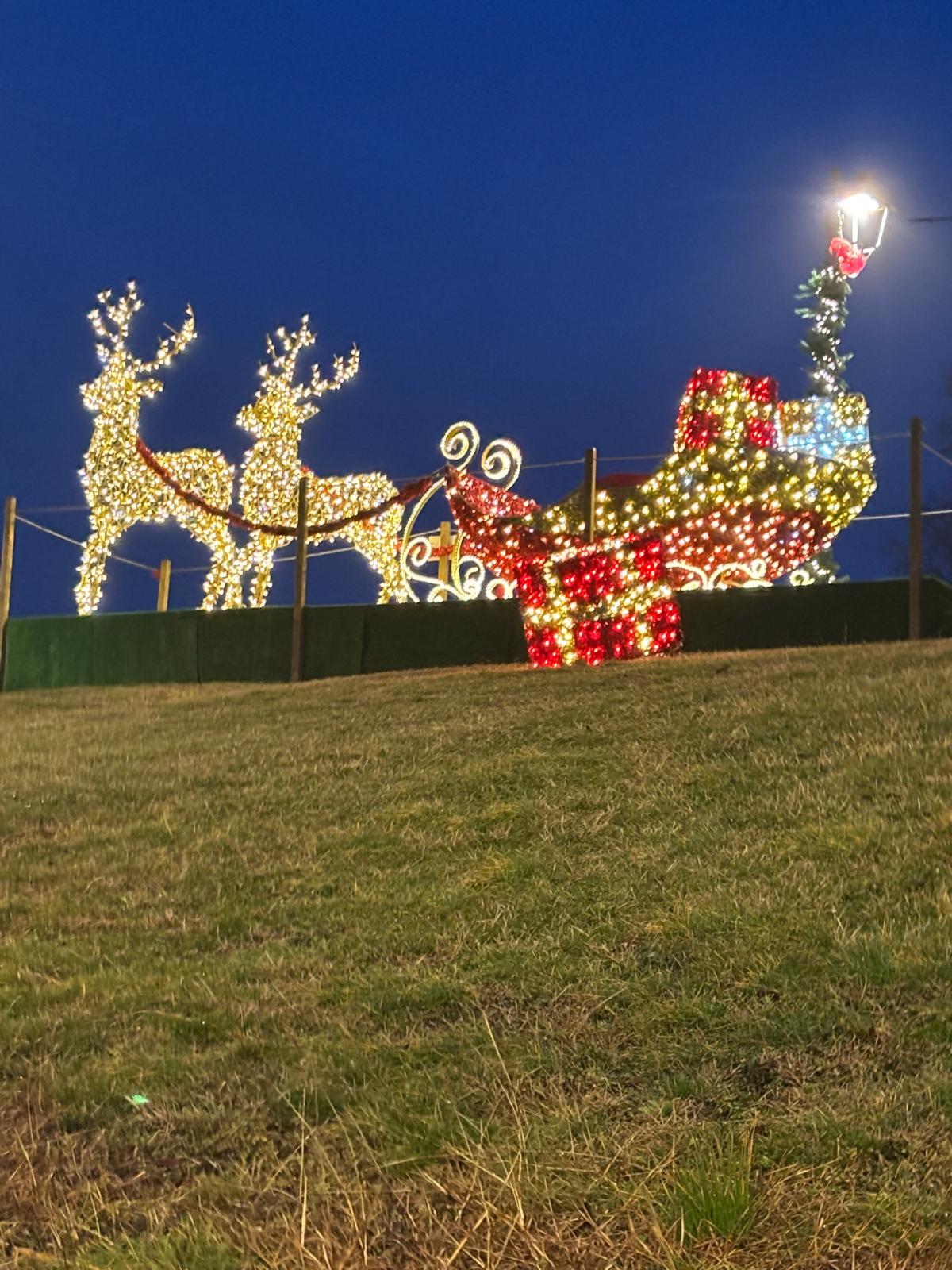 WhatsApp Image 2025-12-21 at 18.07.34.jpeg