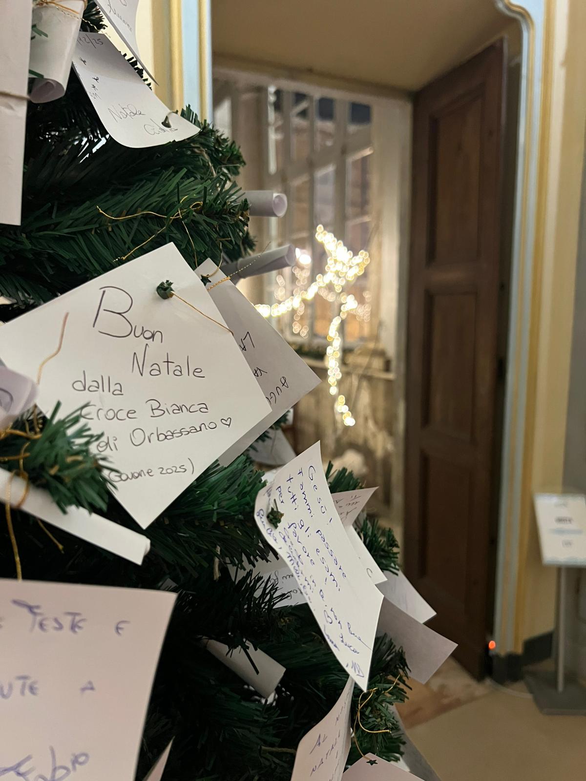 WhatsApp Image 2025-12-21 at 18.37.34.jpeg